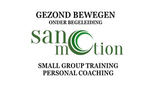 Sanomotion Logo